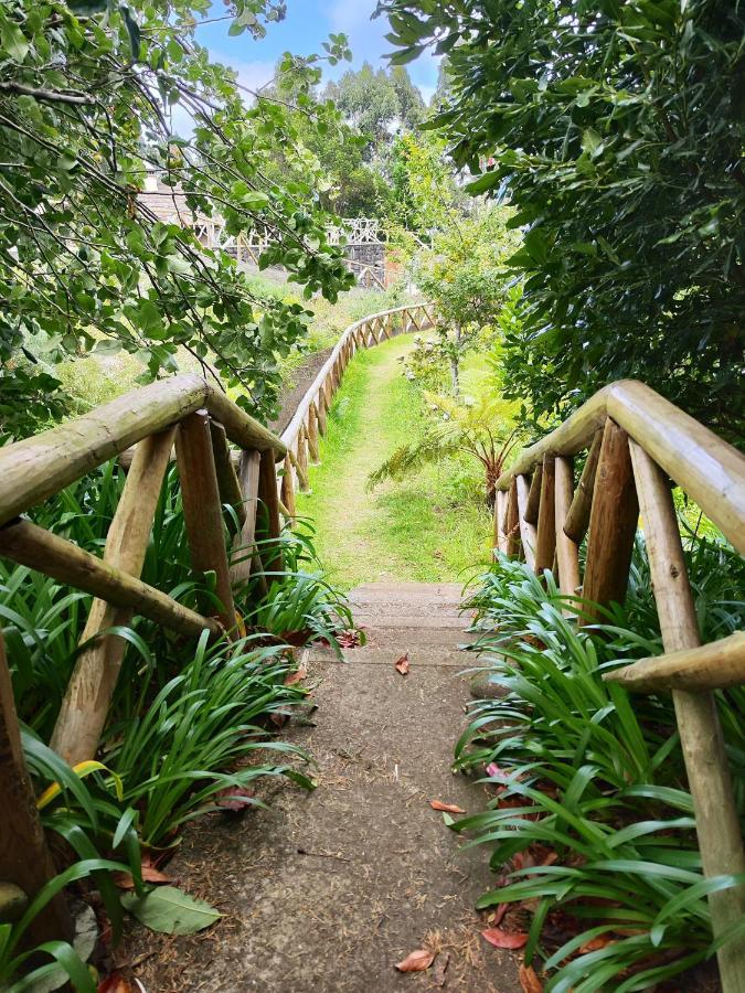 Quinta' Home Ribeira da Janela المظهر الخارجي الصورة