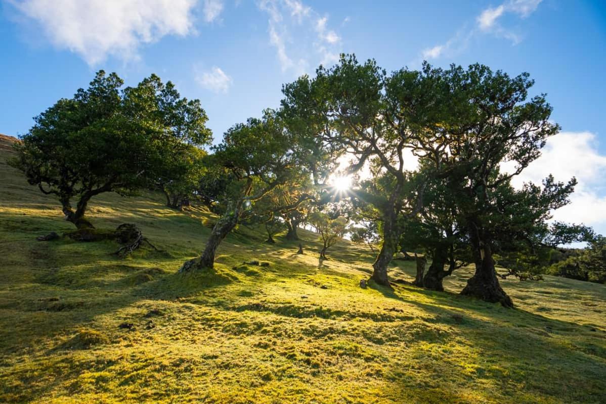 Quinta' Home Ribeira da Janela المظهر الخارجي الصورة